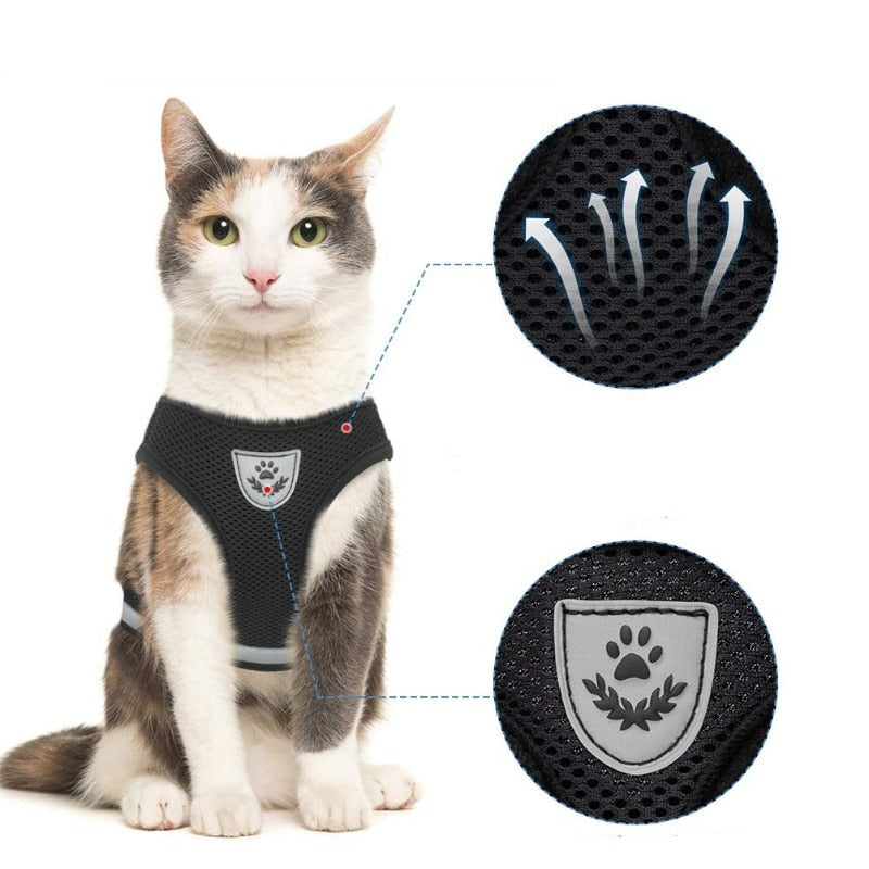 Colete Regulável e Super Confortável para Cães e Gatos