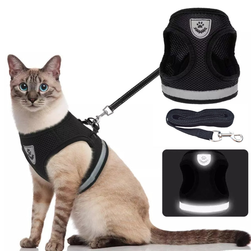 Colete Regulável e Super Confortável para Cães e Gatos